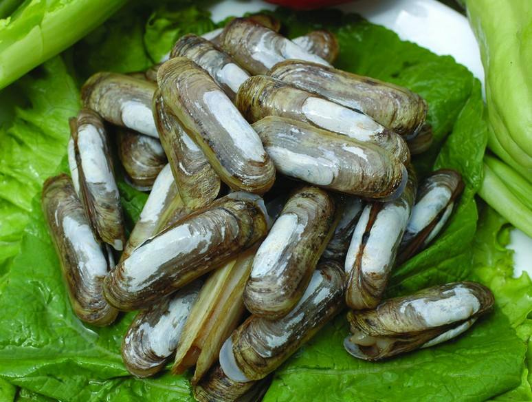 產(chǎn)品|氯霉素快速檢測卡