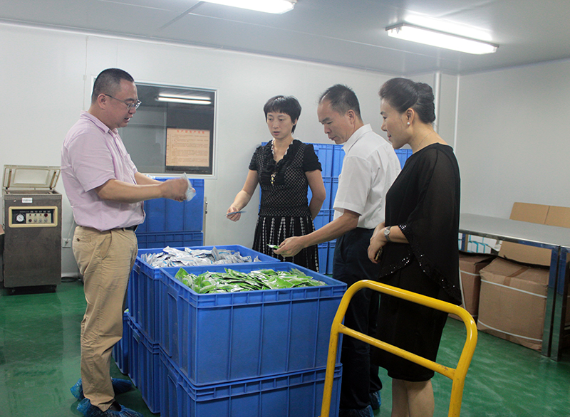 番禺區(qū)麥副區(qū)長一行蒞臨我司指導工作